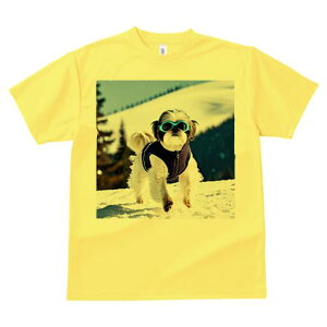 V[Y[ TVc  j[NfUCfB[X t@  t vg lJWA 킢 lԗp Mtg I ҏ΍  V[Y[ ~ R XL[EFA