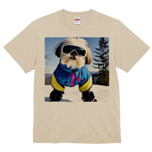 V[Y[ TVc  j[NfUCfB[X t@  t vg lJWA 킢 lԗp Mtg I ҏ΍ XL[EFA V[Y[ XL[S[O R ~