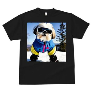 V[Y[ TVc  j[NfUCfB[X t@  t vg lJWA 킢 lԗp Mtg I ҏ΍ XL[EFA V[Y[ XL[S[O R ~