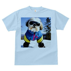 V[Y[ TVc  j[NfUCY LbY t@  t vg lJWA 킢 lԗp Mtg I ҏ΍ XL[EFA V[Y[ XL[S[O R 