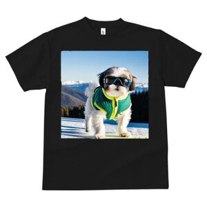 V[Y[ TVc  j[NfUCY LbY t@  t vg lJWA 킢 lԗp Mtg I ҏ΍ XL[ V[Y[ ~ R XL[EFA