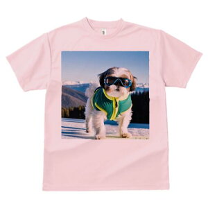 V[Y[ TVc  j[NfUCfB[X t@  t vg lJWA 킢 lԗp Mtg I ҏ΍ XL[ V[Y[ ~ R XL[EFA