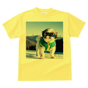 V[Y[ TVc  j[NfUCY LbY t@  t vg lJWA 킢 lԗp Mtg I ҏ΍ XL[ V[Y[ ~ R XL[EFA