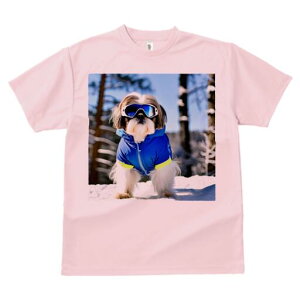 V[Y[ TVc  j[NfUCfB[X t@  t vg lJWA 킢 lԗp Mtg I ҏ΍ XL[ V[Y[ ~  XL[EFA