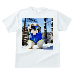 V[Y[ TVc  j[NfUCfB[X t@  t vg lJWA 킢 lԗp Mtg I ҏ΍ XL[ V[Y[ ~  XL[EFA