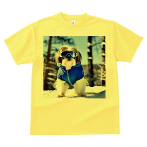 V[Y[ TVc  j[NfUCY LbY t@  t vg lJWA 킢 lԗp Mtg I ҏ΍ XL[ V[Y[ ~  XL[EFA