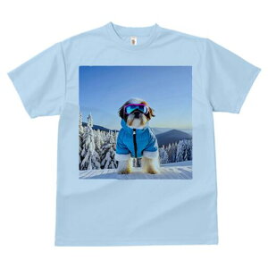 V[Y[ TVc  j[NfUCfB[X t@  t vg lJWA 킢 lԗp Mtg I ҏ΍ R V[Y[ XL[EFA S[O