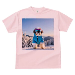 V[Y[ TVc  j[NfUCfB[X t@  t vg lJWA 킢 lԗp Mtg I ҏ΍ R V[Y[ XL[EFA S[O