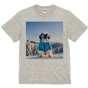 V[Y[ TVc  j[NfUCfB[X t@  t vg lJWA 킢 lԗp Mtg I ҏ΍ R V[Y[ XL[EFA S[O