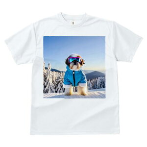 V[Y[ TVc  j[NfUCfB[X t@  t vg lJWA 킢 lԗp Mtg I ҏ΍ R V[Y[ XL[EFA S[O