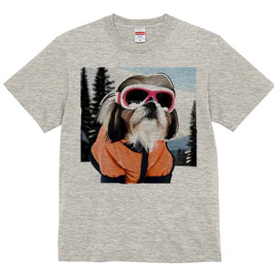 V[Y[ TVc  j[NfUCfB[X t@  t vg lJWA 킢 lԗp Mtg I ҏ΍ XL[EFA V[Y[ XL[S[O R