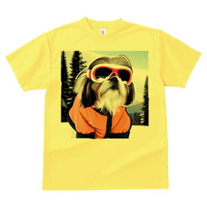 V[Y[ TVc  j[NfUCfB[X t@  t vg lJWA 킢 lԗp Mtg I ҏ΍ XL[EFA V[Y[ XL[S[O R