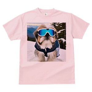 V[Y[ TVc  j[NfUCY LbY t@  t vg lJWA 킢 lԗp Mtg I ҏ΍ XL[ V[Y[ R XL[EFA S[O