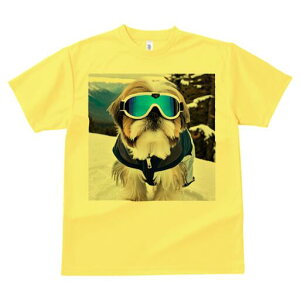 V[Y[ TVc  j[NfUCfB[X t@  t vg lJWA 킢 lԗp Mtg I ҏ΍ XL[ V[Y[ R XL[EFA S[O