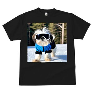 V[Y[ TVc  j[NfUCfB[X t@  t vg lJWA 킢 lԗp Mtg I ҏ΍ XL[EFA V[Y[ XL[S[O 