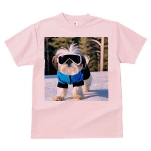 V[Y[ TVc  j[NfUCY LbY t@  t vg lJWA 킢 lԗp Mtg I ҏ΍ XL[EFA V[Y[ XL[S[O 