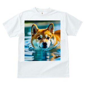 Č TVc  j[NfUCfB[X t@  t vg lJWA 킢 lԗp Mtg I ҏ΍  Č v[