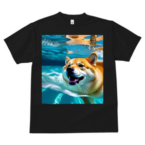 Č TVc  j[NfUCfB[X t@  t vg lJWA 킢 lԗp Mtg I ҏ΍  Č  C