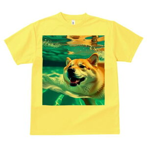 Č TVc  j[NfUCfB[X t@  t vg lJWA 킢 lԗp Mtg I ҏ΍  Č  C