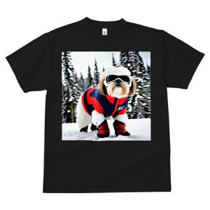 V[Y[ TVc  j[NfUCY LbY t@  t vg lJWA 킢 lԗp Mtg I ҏ΍ XL[EFA V[Y[ XL[S[O R