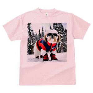 V[Y[ TVc  j[NfUCfB[X t@  t vg lJWA 킢 lԗp Mtg I ҏ΍ XL[EFA V[Y[ XL[S[O R