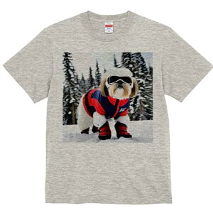 V[Y[ TVc  j[NfUCfB[X t@  t vg lJWA 킢 lԗp Mtg I ҏ΍ XL[EFA V[Y[ XL[S[O R