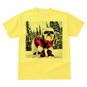 �V�[�Y�[ T�V���c ���� ���j�[�N�f�U�C�����f�B�[�X ���t�@�� ���� �t�� �v�����g ��l�J�W���A�� ���킢�� �l�ԗp �M�t�g ���I �ҏ��΍� �X�L�[�E�F�A �V�[�Y�[ �X�L�[�S�[�O�� ��R