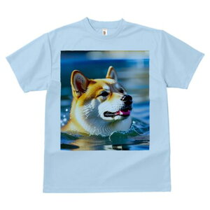 Č TVc  j[NfUCfB[X t@  t vg lJWA 킢 lԗp Mtg I ҏ΍  Č  Ԃ