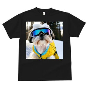 V[Y[ TVc  j[NfUCfB[X t@  t vg lJWA 킢 lԗp Mtg I ҏ΍ S[O V[Y[ XL[EFA