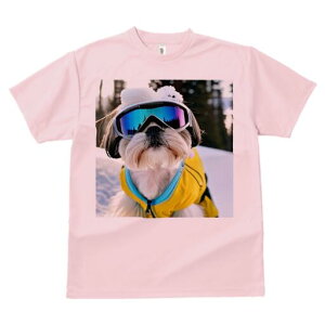 V[Y[ TVc  j[NfUCfB[X t@  t vg lJWA 킢 lԗp Mtg I ҏ΍ S[O V[Y[ XL[EFA