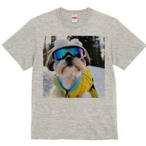 V[Y[ TVc  j[NfUCfB[X t@  t vg lJWA 킢 lԗp Mtg I ҏ΍ S[O V[Y[ XL[EFA