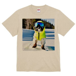 V[Y[ TVc  j[NfUCfB[X t@  t vg lJWA 킢 lԗp Mtg I ҏ΍ XL[EFA V[Y[ 