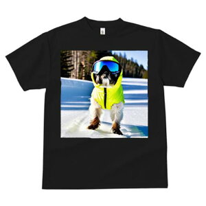 V[Y[ TVc  j[NfUCfB[X t@  t vg lJWA 킢 lԗp Mtg I ҏ΍ XL[EFA V[Y[ 