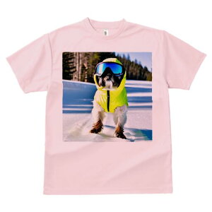 V[Y[ TVc  j[NfUCY LbY t@  t vg lJWA 킢 lԗp Mtg I ҏ΍ XL[EFA V[Y[ 