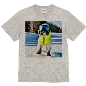 V[Y[ TVc  j[NfUCfB[X t@  t vg lJWA 킢 lԗp Mtg I ҏ΍ XL[EFA V[Y[ 