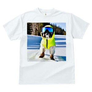 V[Y[ TVc  j[NfUCfB[X t@  t vg lJWA 킢 lԗp Mtg I ҏ΍ XL[EFA V[Y[ 