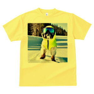 シーズー Tシャツ 犬愛 ユニークデザインレディース 犬ファン 半袖 春夏 プリント 大人カジュアル かわいい 人間用 ギフト 個性的 猛暑対策 スキーウェア シーズー 雪