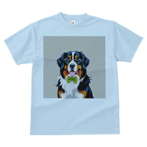 o[j[Y}EehbO TVc  j[NfUCY LbY t@  t vg lJWA 킢 lԗp Mtg I ҏ΍ Kl o[j[Y}E