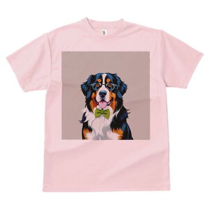 o[j[Y}EehbO TVc  j[NfUCY LbY t@  t vg lJWA 킢 lԗp Mtg I ҏ΍ Kl o[j[Y}E