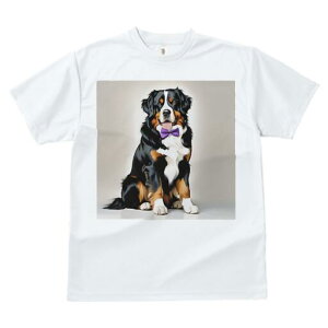 o[j[Y}EehbO TVc  j[NfUCfB[X t@  t vg lJWA 킢 lԗp Mtg I ҏ΍ lN^C o[j[Y}E