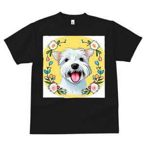 EGXgnChzCgeA TVc  j[NfUCfB[X t@  t vg lJWA 킢 lԗp Mtg I ҏ΍  EGXgnCh