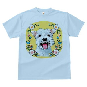 EGXgnChzCgeA TVc  j[NfUCfB[X t@  t vg lJWA 킢 lԗp Mtg I ҏ΍  EGXgnCh