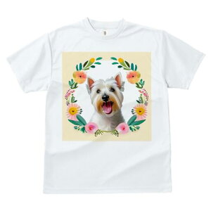 EGXgnChzCgeA TVc  j[NfUCfB[X t@  t vg lJWA 킢 lԗp Mtg I ҏ΍  EGXgnCh