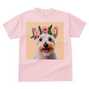 EGXgnChzCgeA TVc  j[NfUCY LbY t@  t vg lJWA 킢 lԗp Mtg I ҏ΍  EGXgnC