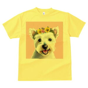 EGXgnChzCgeA TVc  j[NfUCY LbY t@  t vg lJWA 킢 lԗp Mtg I ҏ΍ Ԋ EGXgnC