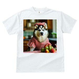 VxAnXL[ TVc  j[NfUCfB[X t@  t vg lJWA 킢 lԗp Mtg I ҏ΍ ʕ VxAnXL[  Xq 