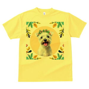 EGXgnChzCgeA TVc  j[NfUCY LbY t@  t vg lJWA 킢 lԗp Mtg I ҏ΍  EGXgnC