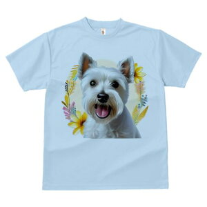 EGXgnChzCgeA TVc  j[NfUCfB[X t@  t vg lJWA 킢 lԗp Mtg I ҏ΍  EGXgnCh