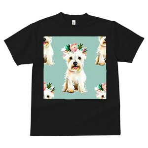 EGXgnChzCgeA TVc  j[NfUCfB[X t@  t vg lJWA 킢 lԗp Mtg I ҏ΍  EGXgnCh