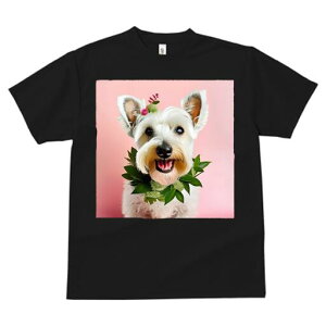 EGXgnChzCgeA TVc  j[NfUCfB[X t@  t vg lJWA 킢 lԗp Mtg I ҏ΍  EGXgnCh